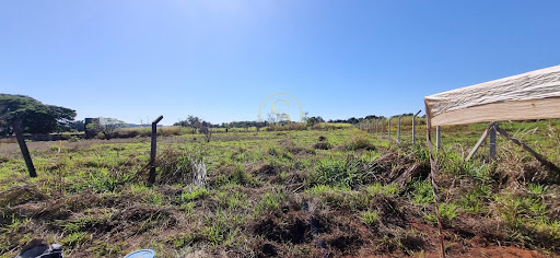 Lote / Terreno - Cidade Universitária, ambiente 2