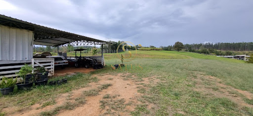 Lote / Terreno - Reserva da Floresta