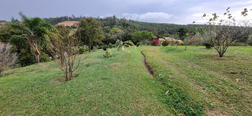 Lote / Terreno - Reserva da Floresta, ambiente 3