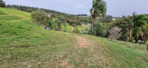 Lote / Terreno - Reserva da Floresta, ambiente 2